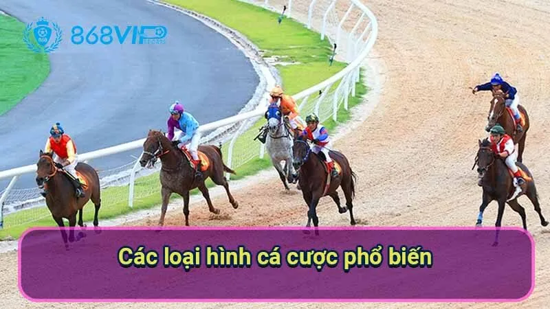 Cá Cược Đua Ngựa - Niềm Đam Mê Bất Tận Không Biên Giới 3 cac-loai-hinh-ca-cuoc-pho-bien